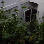 Monferrato - Ca Mari E Casa Elena In Pieno Centro Storico Apartmán