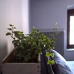 Apartmán Monferrato - Ca Mari E Casa Elena In Pieno Centro Storico *