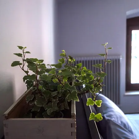 Appartamento In Pieno Centro Storico Ca Marì E Casa Elena *