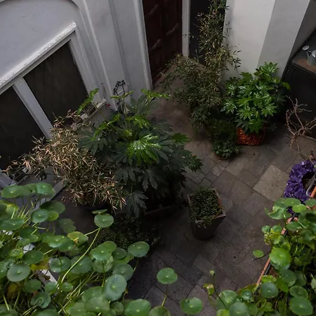 In Pieno Centro Storico Ca Mari E Casa Elena * Монкальво